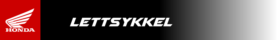 lettsykkel