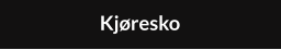 Kjøresko