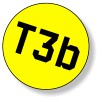 T3b