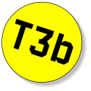 T3b