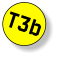 T3b