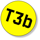 T3b